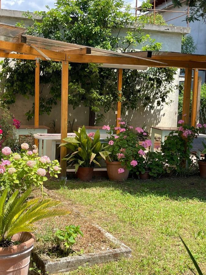 Casa Violetta Bed & Breakfast Marina di Massa Kültér fotó